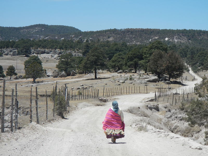 Femme indigène Tarahumara près de Creel
