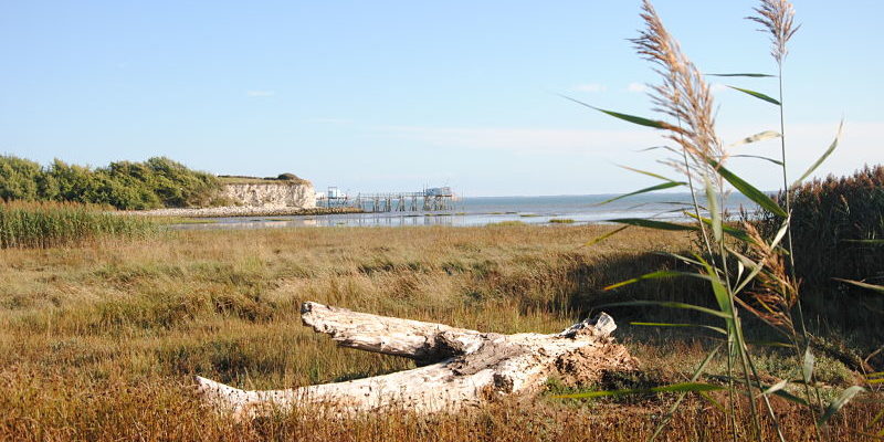 Journées du patrimoine baie de Talmont sur Gironde Journées du patrimoine baie de Talmont sur Gironde