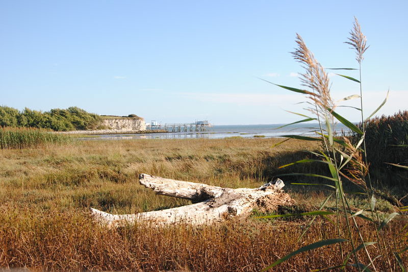 Journées du patrimoine baie de Talmont sur Gironde