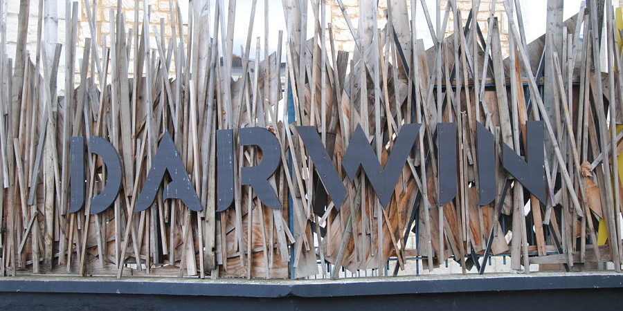 Week end original à Bordeaux