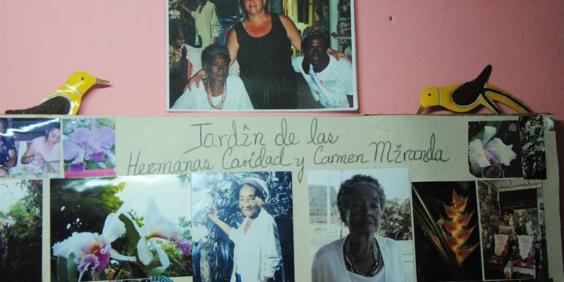 Jardin botanique de Viñales