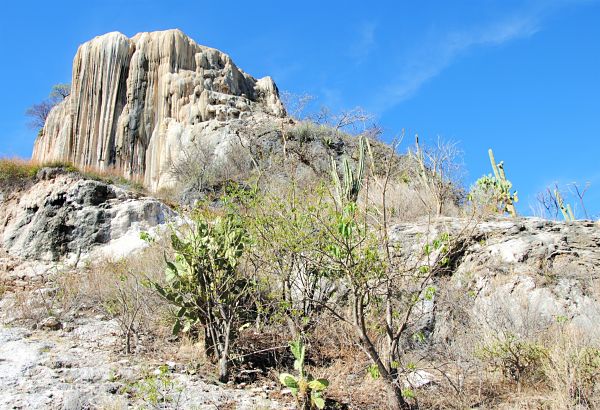 La nature mexicaine à Oaxaca
