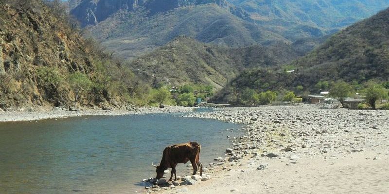 Photo de la rivière à Urique Photo de la rivière à Urique