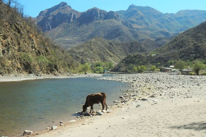 Photo de la rivière à Urique