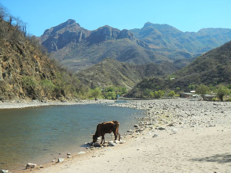 Photo de la rivière à Urique