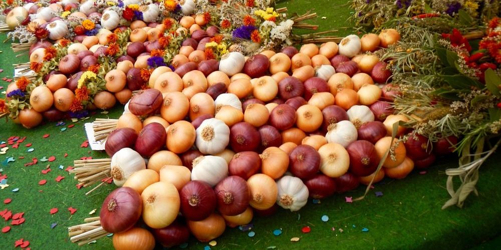 Marché à l’oignon de Berne Marché à l'oignon de Berne