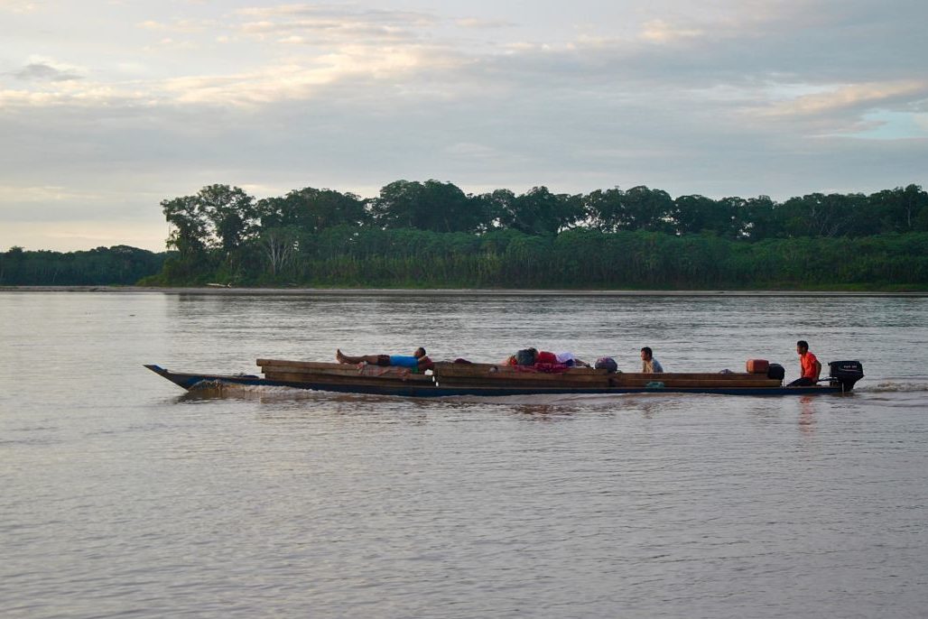 Visiter la forêt amazonienne au Pérou à Puerto Maldonado Visiter la forêt amazonienne au Pérou à Puerto Maldonado