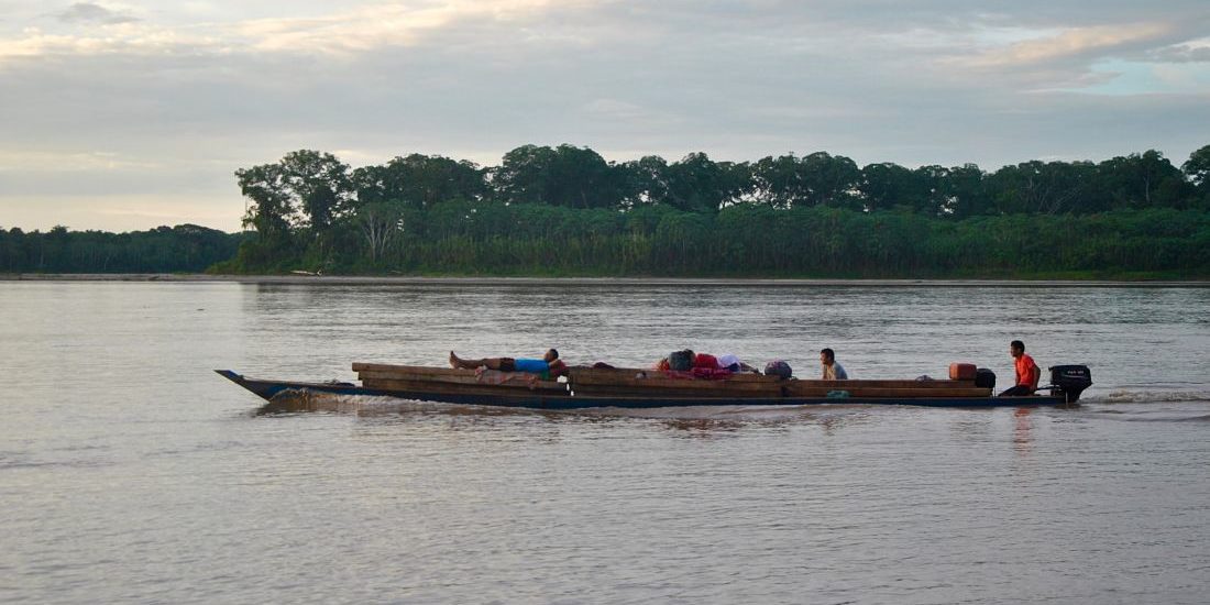 Visiter la forêt amazonienne au Pérou à Puerto Maldonado Visiter la forêt amazonienne au Pérou à Puerto Maldonado