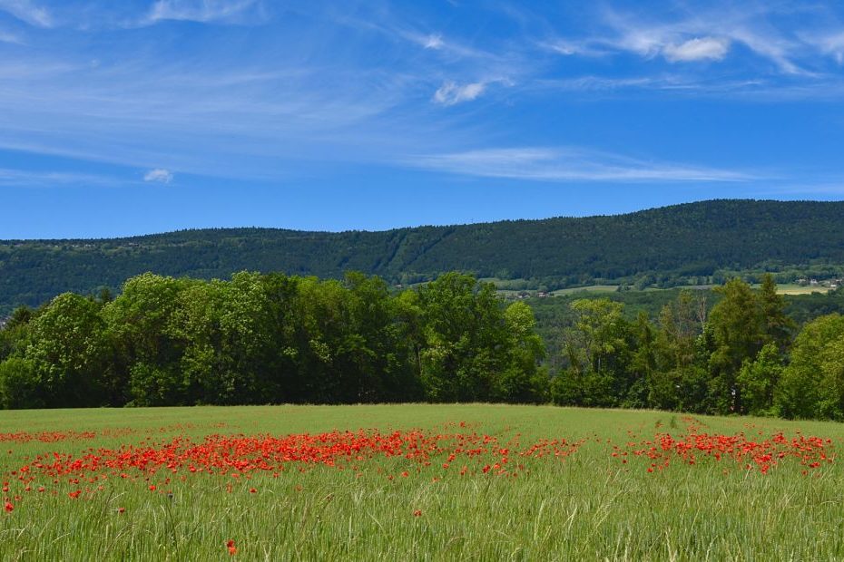 Visiter Yverdon-les-Bains et sa région en un long weekend Visiter Yverdon-les-Bains et sa région en un long weekend
