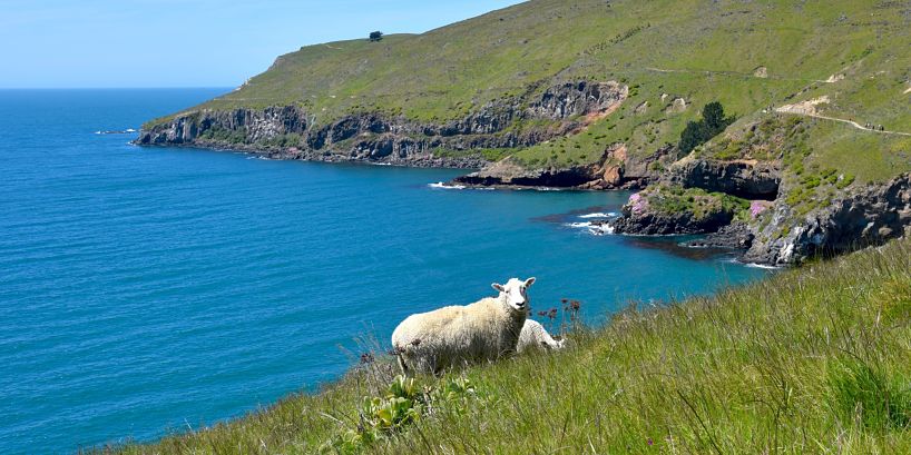 Partir en PVT en Nouvelle-Zélande Partir en PVT en Nouvelle-Zélande