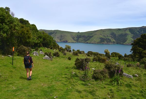 Randonnées à Akaroa en Nouvelle-Zélande