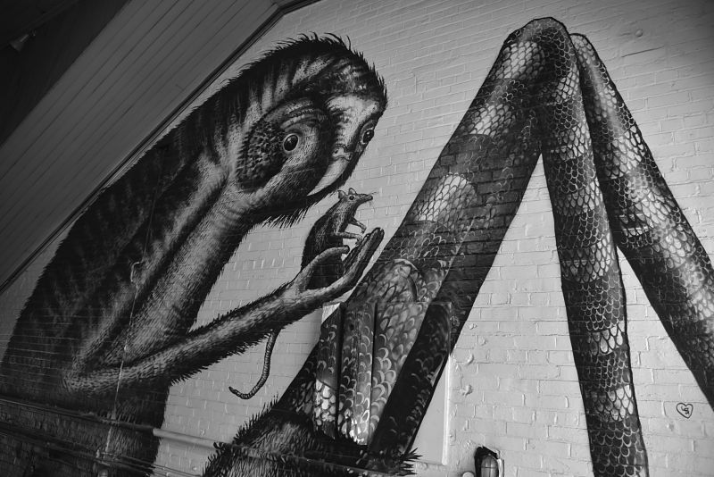 Murale noir et blanc à Dunedin