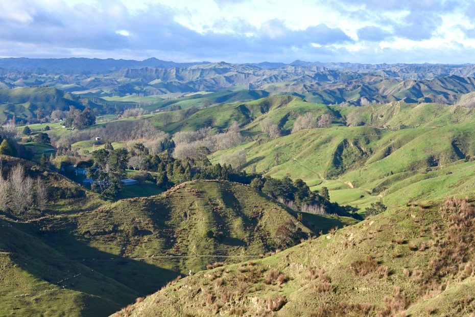 Forgotten World Highway l'autoroute oubliée à découvrir pendant votre road-trip en Nouvelle-Zélande