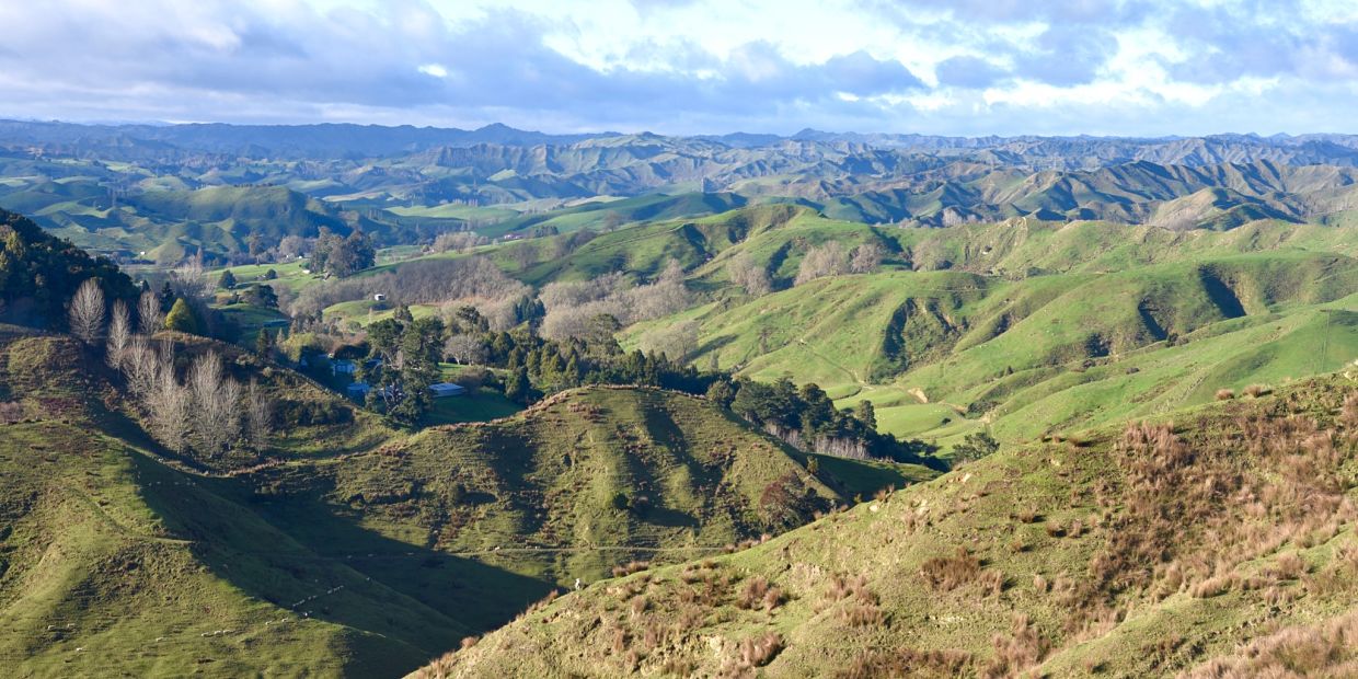 Forgotten World Highway l'autoroute oubliée à découvrir pendant votre road-trip en Nouvelle-Zélande