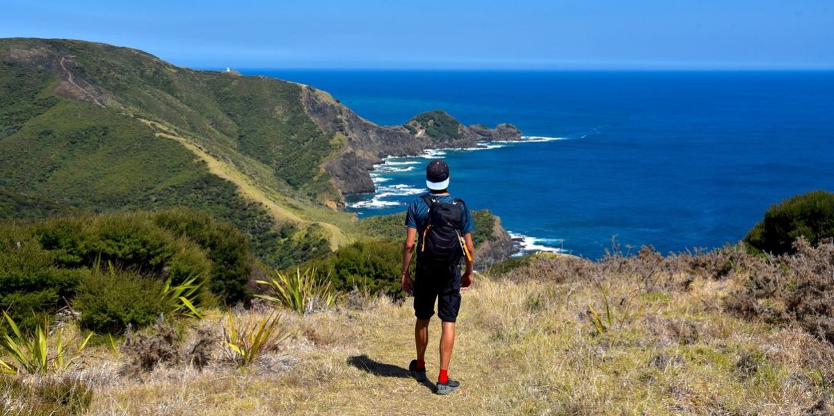 Que faire au cap Reinga dans le Northland Nouvelle-Zélande Que faire au cap Reinga dans le Northland Nouvelle-Zélande