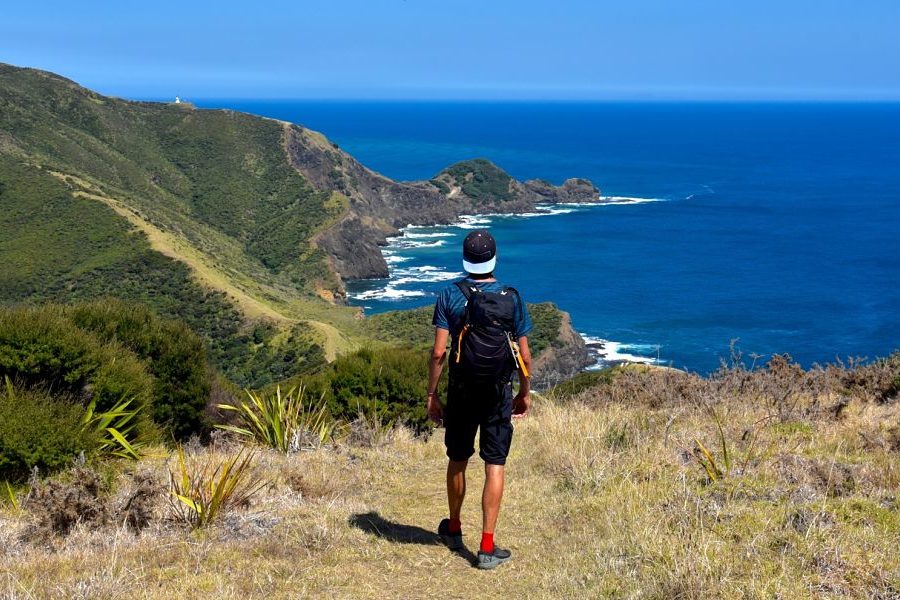 Que faire au cap Reinga dans le Northland Nouvelle-Zélande Que faire au cap Reinga dans le Northland Nouvelle-Zélande