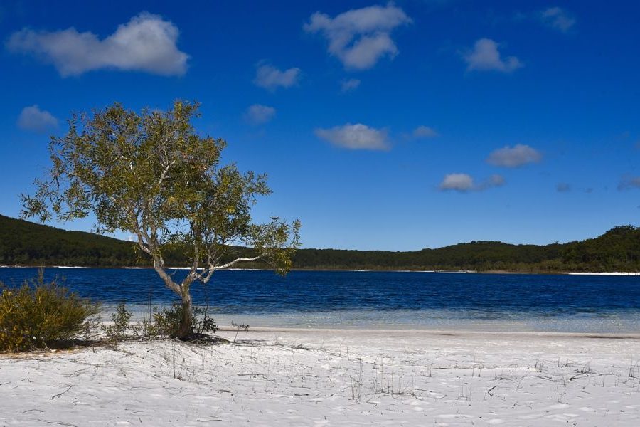 Visiter Fraser Island en Australie