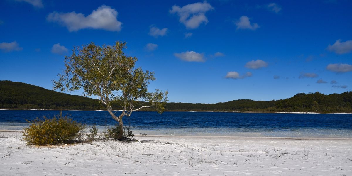 Visiter Fraser Island en Australie Visiter Fraser Island en Australie