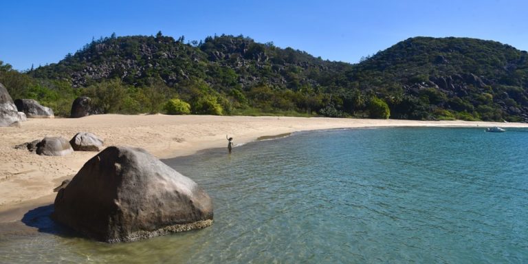 Visiter Magnetic Island dans le Queensland en Australie avec ses koalas Visiter Magnetic Island dans le Queensland en Australie avec ses koalas