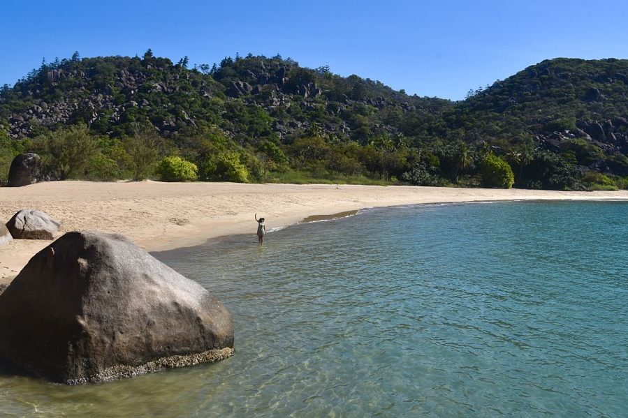 Visiter Magnetic Island dans le Queensland en Australie avec ses koalas Visiter Magnetic Island dans le Queensland en Australie avec ses koalas