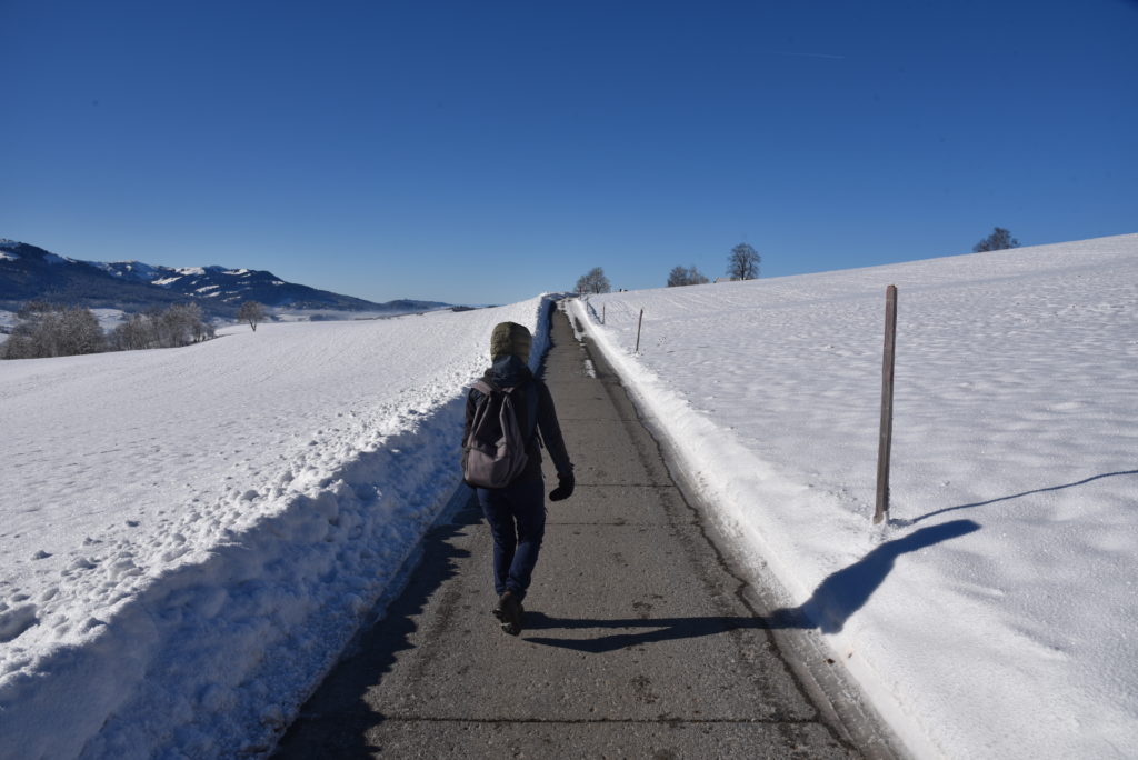 Rando d'hiver ou Winterwanderung à Guggisberg